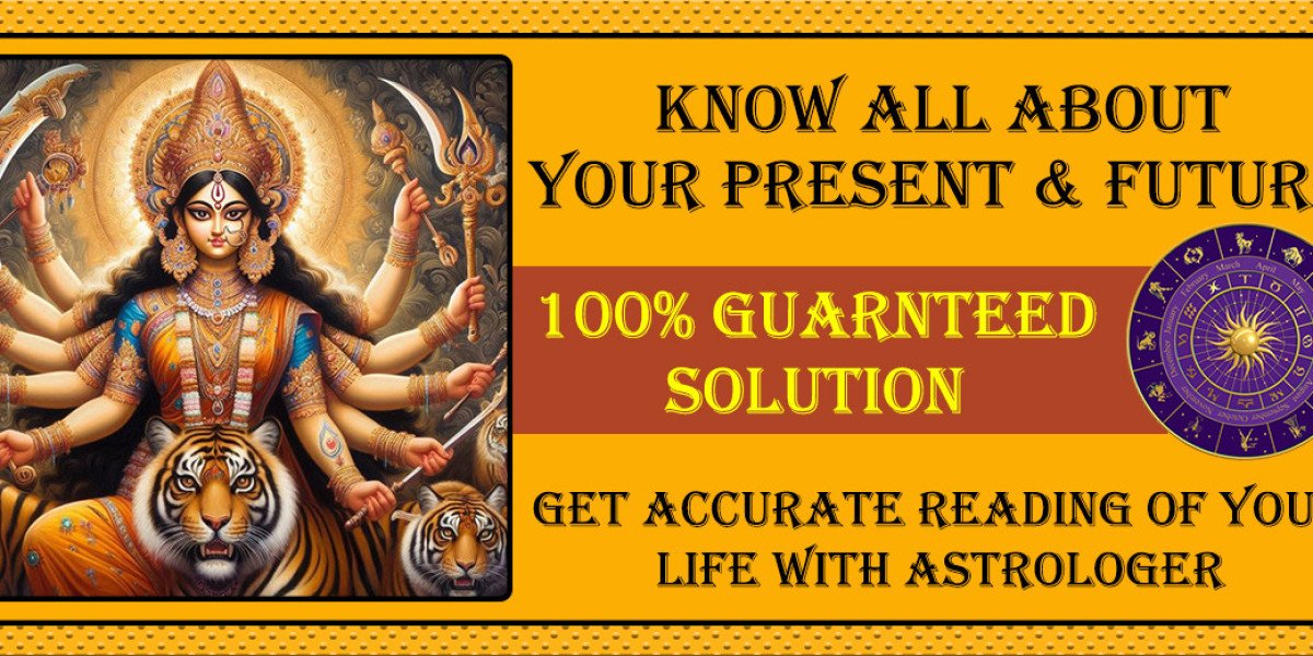 Best Astrologer in Ludhiana