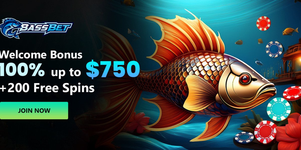 Bassbet Guide to Online Casino Games RTP and Payouts