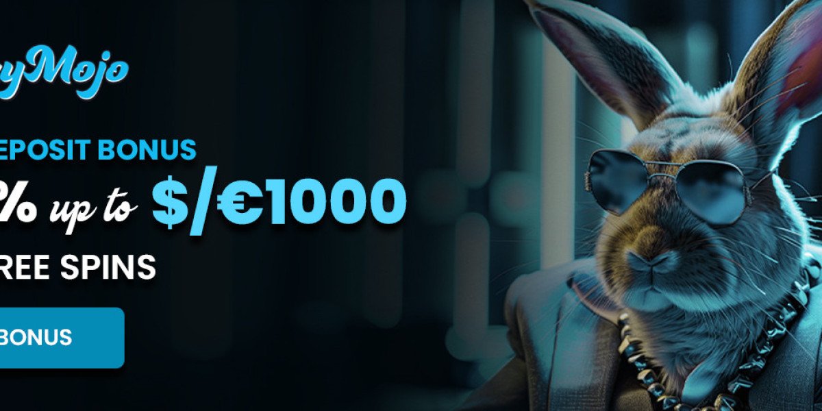 How New Zealand Is Embracing the Next Generation of Digital Entertainment playmojo casino