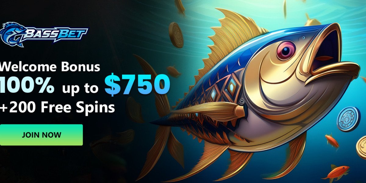 Bassbet Shows How Casino Game Math Shapes Outcomes